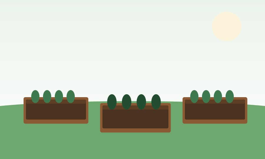 Lush organic vegetable garden with raised beds and green landscaping