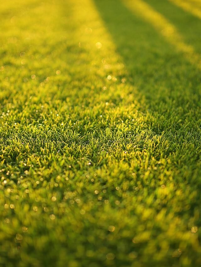 cropped-pexels-photo-572007.jpeg