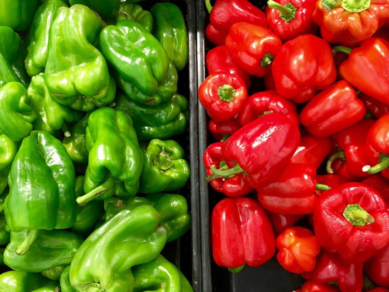 Grow Bell Peppers Easily