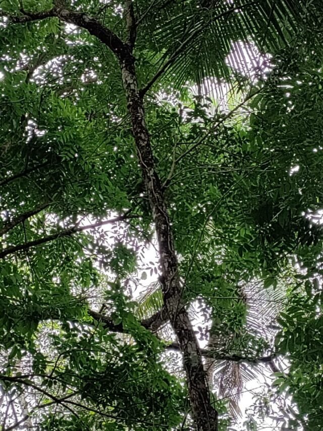cropped-IMG-20220423-WA0008.jpg