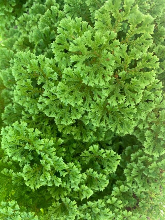 cropped-IMG-20220423-WA0014.jpg