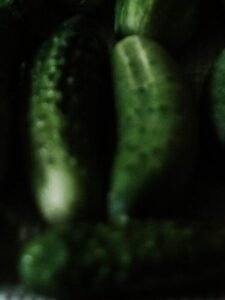 close up photo of cucumbers