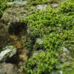 Tips to help you be as Environmentally Friendly