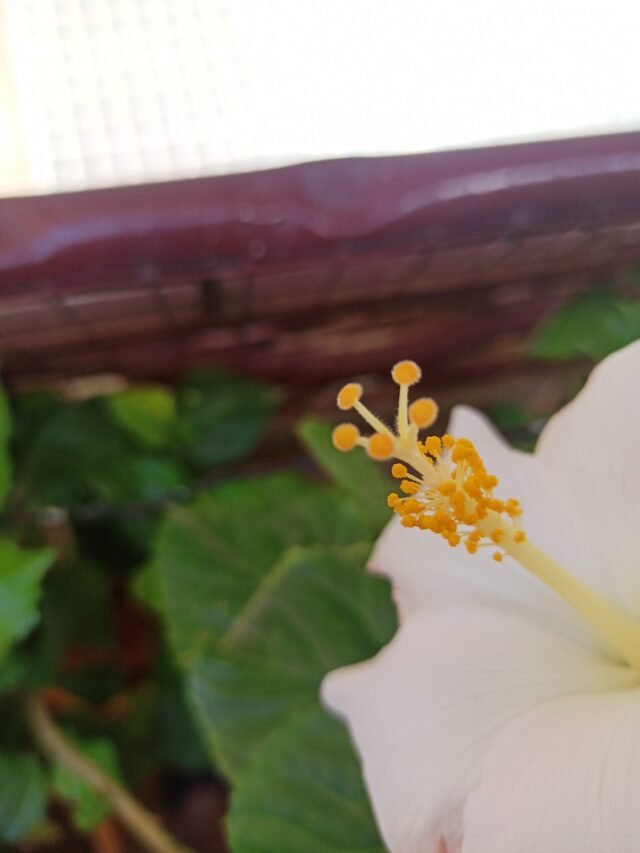 How can I make my garden look beautiful?