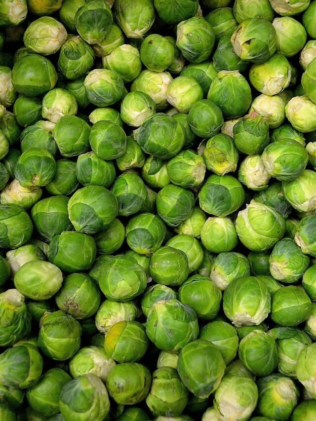 Brussel Sprouts