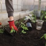 how to boost nutrients in garden soil