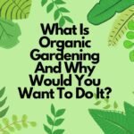 What Is Organic Gardening