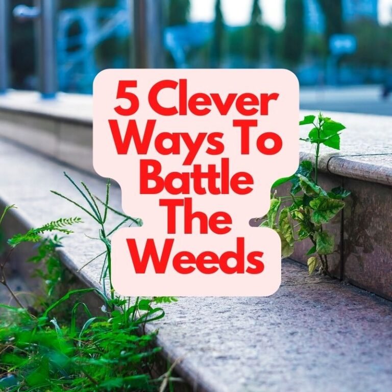 Gardening Hacks: 5 Clever Ways To Battle The Weeds