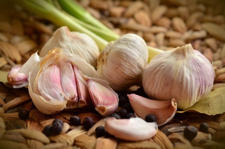 advice for growing garlic