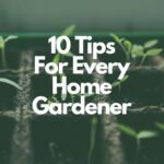 10 Tips For Every Home Gardener