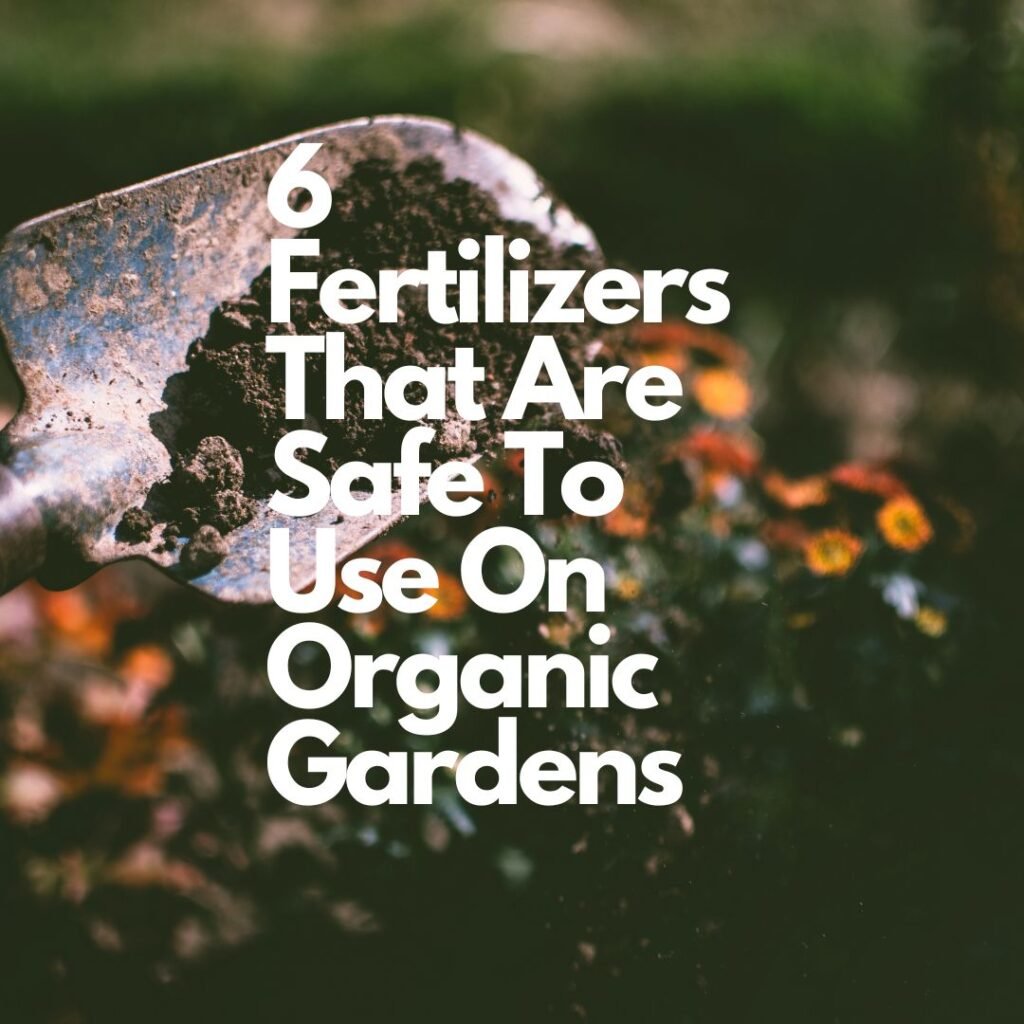 Fertilizers for Organic Gardening