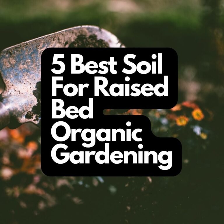 Raised Bed Organic Gardening