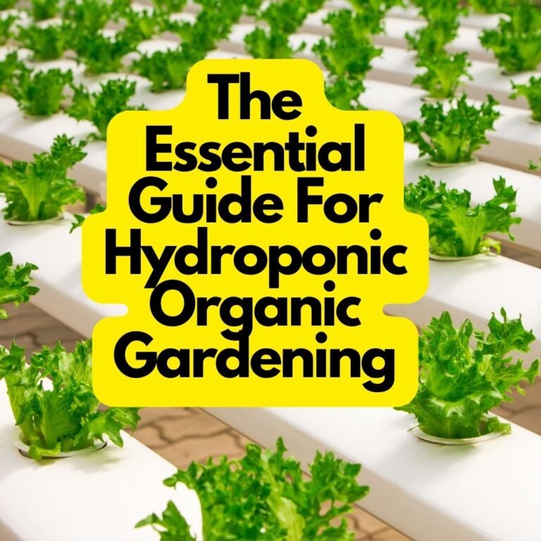Hydroponic Organic Gardening