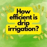 How efficient is drip irrigation?