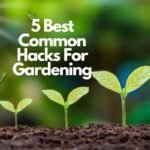 5 Best Common Hacks For Gardening