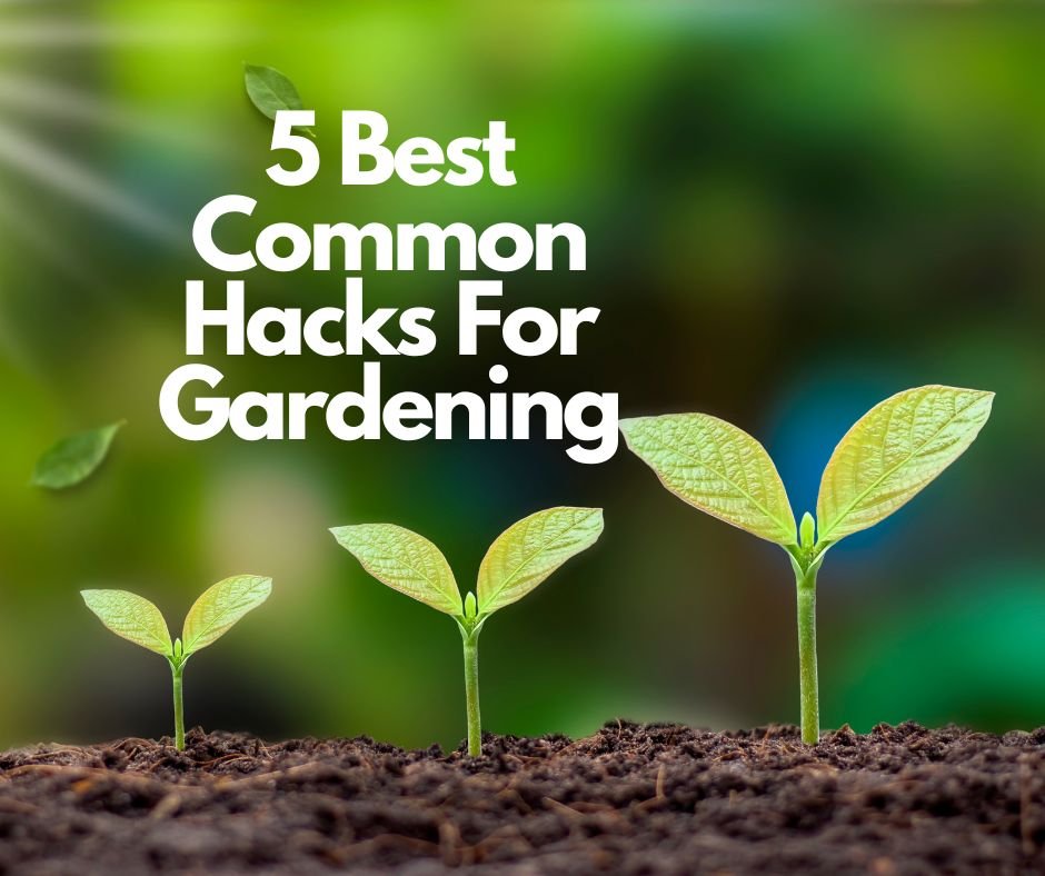 5 Best Common Hacks For Gardening