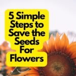 Save the Seeds For Flowers