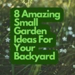 Small Garden Ideas