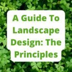 A Guide To Landscape Design