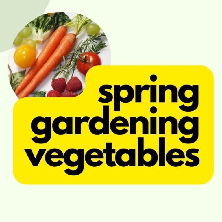 spring gardening vegetables