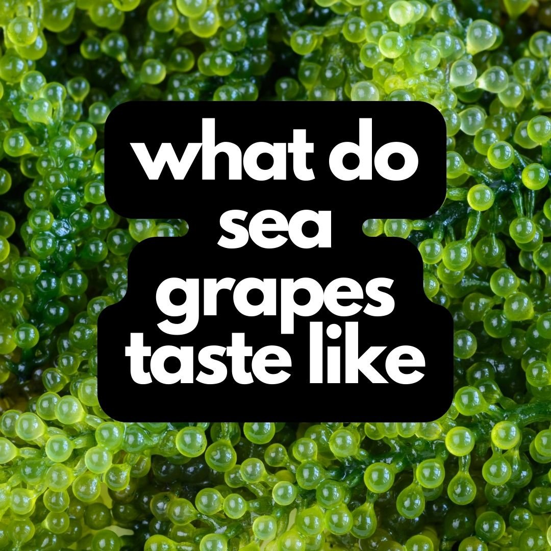 what do sea grapes taste like