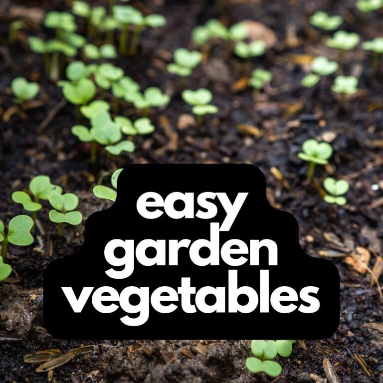 easy garden vegetables