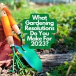 Gardening Resolutions