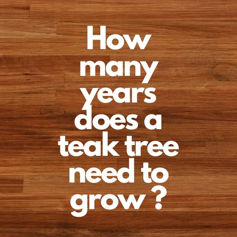 How many years does a teak tree need to grow?