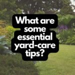 What are some essential yard-care tips?