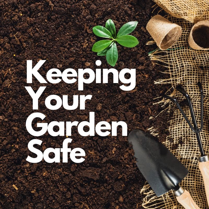 Keeping Your Garden Safe