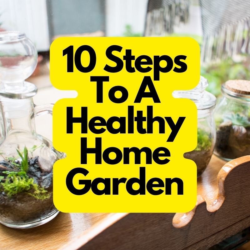 Healthy Home Garden