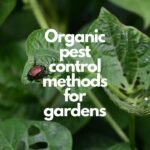 Organic pest control methods for gardens