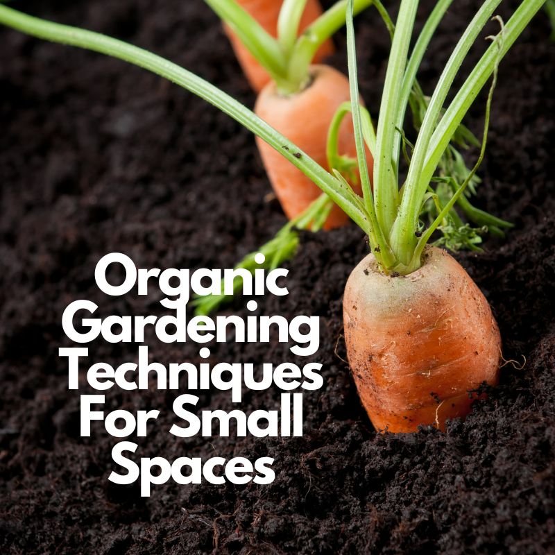 10 Organic Gardening Techniques For Small Spaces