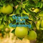 Organic Fruit Gardening