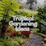 Tropical Gardening Ideas