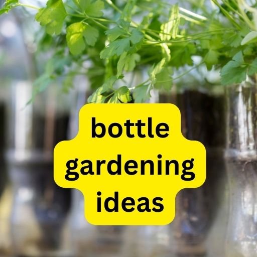 bottle gardening ideas