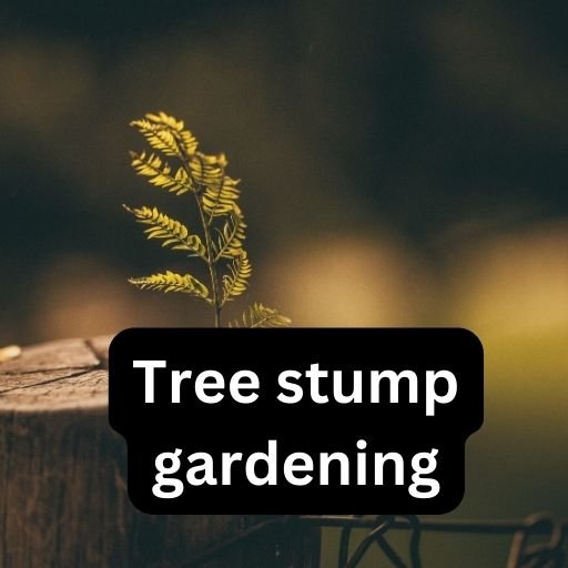Tree stump gardening ideas