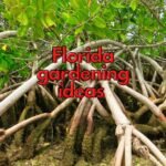 Florida gardening ideas