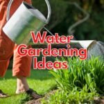 Water Gardening Ideas