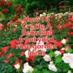 How To Create A Beautiful front yard rose garden ideas