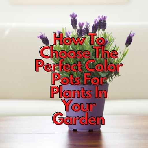 How To Choose The Perfect Color Pots For Plants In Your Garden