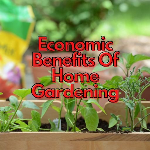 Economic Benefits Of Home Gardening
