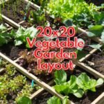 20x20 Vegetable Garden layout