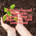 9 Unique Fenced Vegetable Garden Ideas To Make Your Yard Look Great