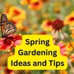spring gardens Ideas