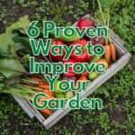 6 Proven Ways to Improve Your Garden