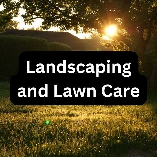 Landscaping and Lawn Care: A Guide for a Beautiful Garden