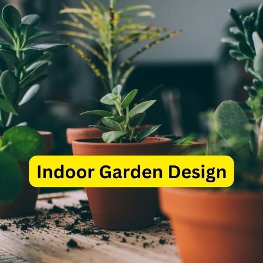 Best Indoor Garden Design: A Guide to Growing a Thriving Indoor Garden