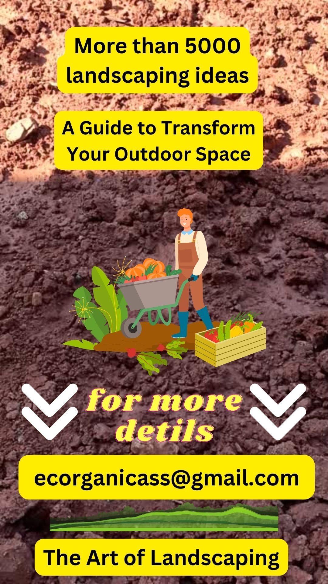 A Guide To Transform Your Outdoor Space Organic Gardening 