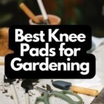 Best Knee Pads for Gardening